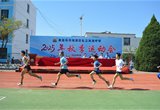 奔跑的青春